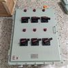 BXD51防爆防腐动力照明配电箱生产厂家电话